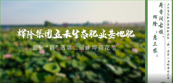 荷香潤古鎮(zhèn)，輝隆“惠三農(nóng)”